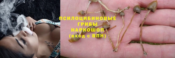 круглые Верхний Тагил