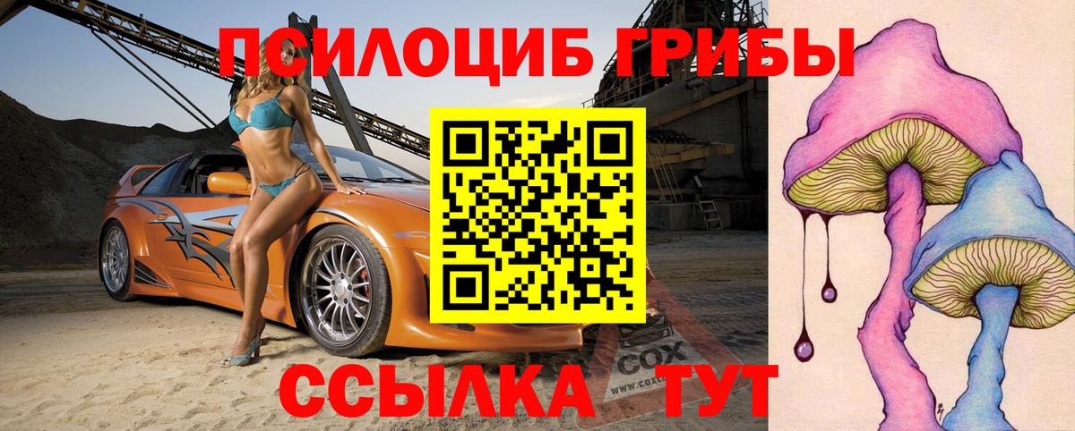 Северобайкальск  Псилоцибиновые грибы Psilocybine cubensis  Вход с VPN 
