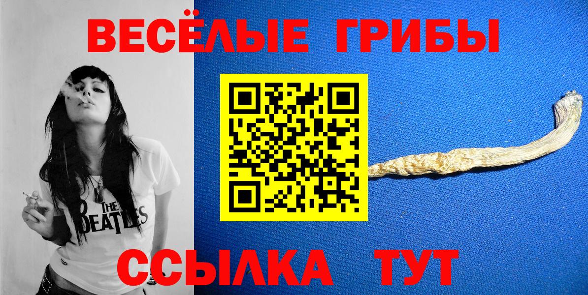 Псилоцибиновые грибы Psilocybe Северобайкальск